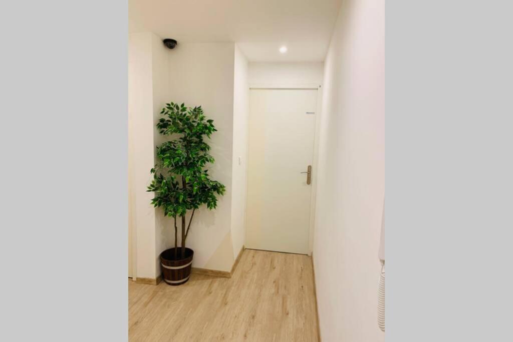 Provence Appartement มาโนสก์ ภายนอก รูปภาพ